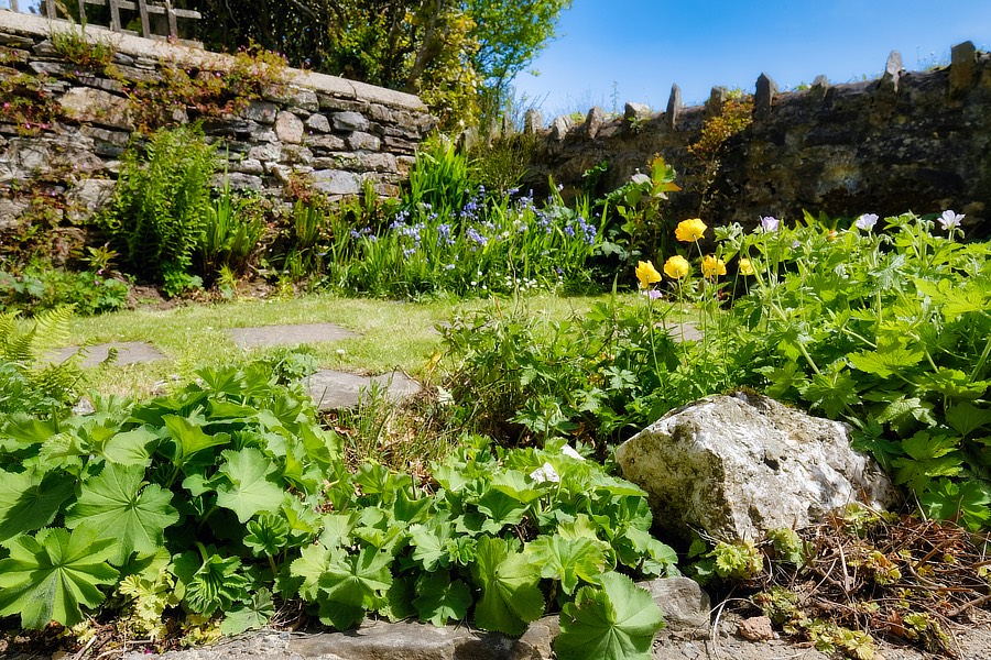bed breakfast exmoor, b&b exmoor, accommodation exmoor, self catering exmoor